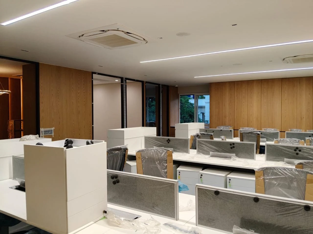 Open office with partitions, timber finishes and ceiling lighting
